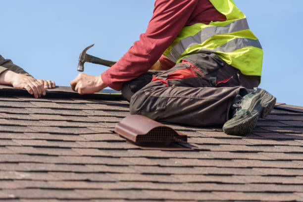 Best Metal Roofing Contractor  in Clemson University, SC