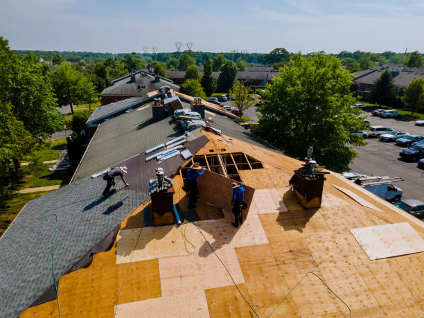 Quick and Trustworthy Emergency Roof Repair Services in Clemson University, SC